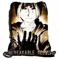    Fullmetal Alchemist 302307