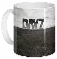    DayZ