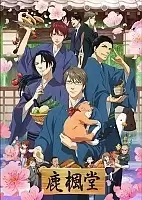    TV DVD
