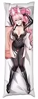    Fate - Rider