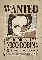   One Piece - Nico Robin Wanted Poster