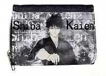 ������� ��������� ���� No.11