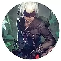 ������ ��������� ������� NieR: Automata - YoRHa 9-gou S-gata