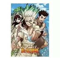   "Dr. Stone" Senkuu, Taiju,  Yuzuriha