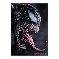   Venom