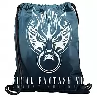    Final Fantasy 302303