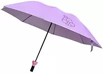 ���� BTS COOKY