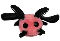 ������ ������� ���� �������