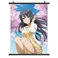 ������� �������� Seishun Buta Yarou wa Bunny Girl Senpai no Yume wo Minai - ��� �����������