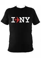  I Fly to NY