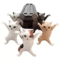      (5 )