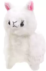 ���������� ������� ������ �������� ����� ������� �� ����� � ����� 