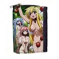   Sora no Otoshimono 313545