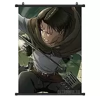   Attack on Titan Levi Ackerman