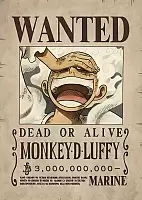   One Piece - Luffy Wanted Poster