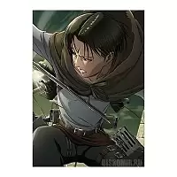   "Attack on Titan" Levi Ackerman