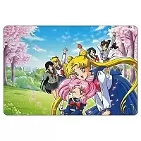    Bishoujo Senshi Sailor Moon 304823