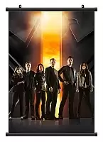   Agents of S.H.I.E.L.D.