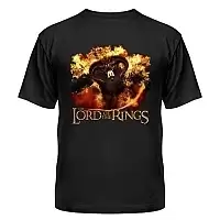 �������� ������ The Lord of the Rings 309979