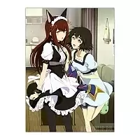   Steins Gate - Kurisu Makise, Mayuri Shiina