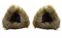      ( ) 2