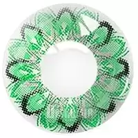    Maxiy Girl Donuts Green #22
