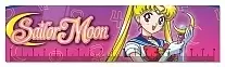  Bishoujo Senshi Sailor Moon 349485