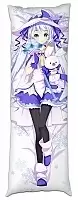       529203