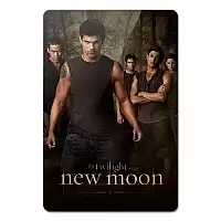    Twilight 351889