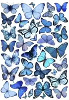 �������� ������� �1