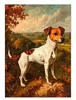 ������ �������� ����-������-������ / ������