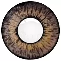     Cooper Vision Color Tones Grey