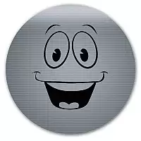 ������ ��� ����� ������� Fallout - Yes Man face