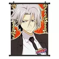   Katekyo Hitman Reborn! Hayato Gokudera