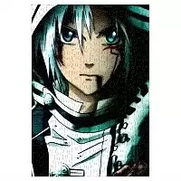  - / D.Gray-man ( A3, 252 )