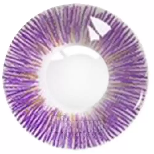 ���������� ������� ���������� ���������� ����� Maxiy Girl Sunny Purple #1 �� ����� � ����� 