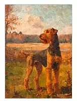 ������ �������� ������������ / ������