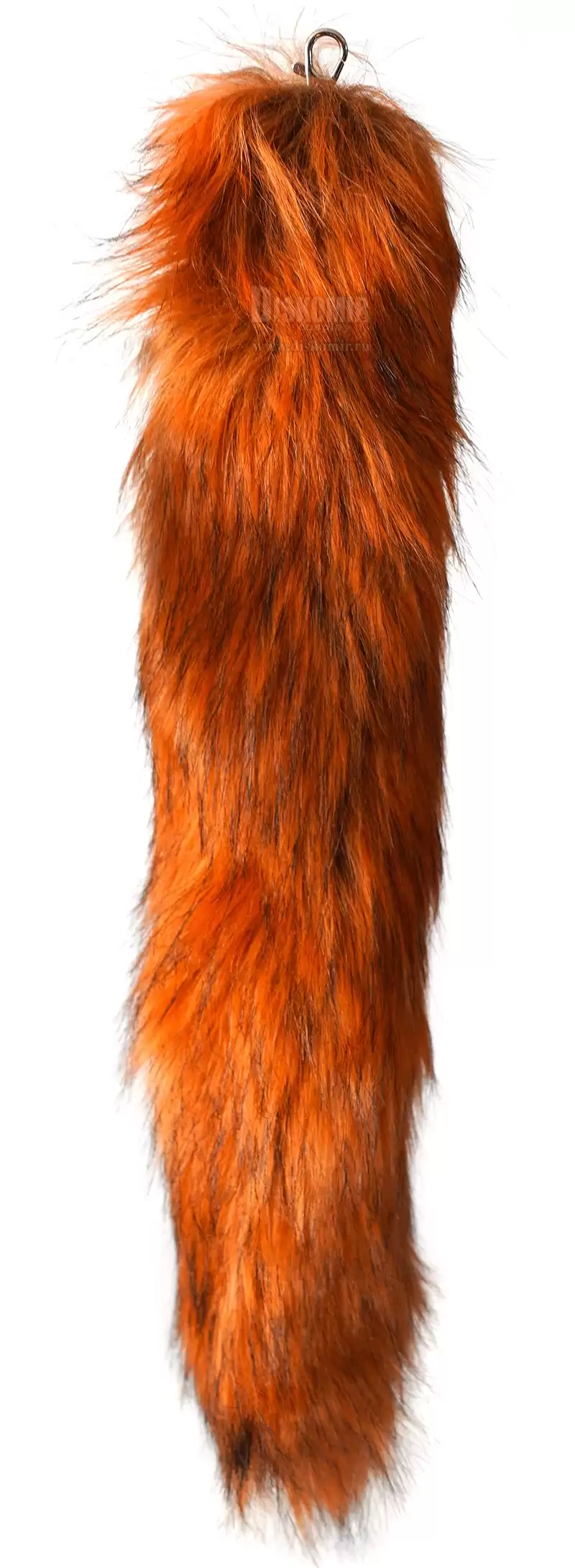 ���������� ������� ����� ����� ����� �������� �� ����� � ����� 