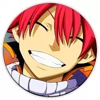    Fairy Tail 95661