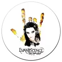 ������ ��������� ������� Evanescence - The open door