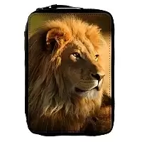   Animals Theme 330749