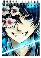 �������� ��� ��������� A6 Ao no Exorcist - Rin Okumura