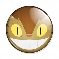  Tonari no Totoro Catbus face
