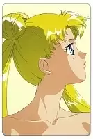 ������ ��������� ������������� Bishoujo Senshi Sailor Moon 304850