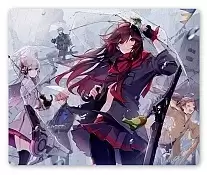     Punishing: Gray Raven
