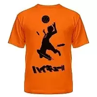 �������� ��������!! Shouyou Hinata logo