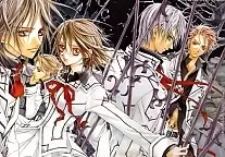     Vampire Knight