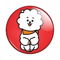  BT21 - RJ