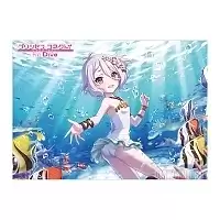   "Princess Connect! Re:Dive" Dangerous Vacation Ver. Kokkoro