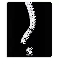 ������ ��� ����� ������������� Mortal Kombat 11 - Sub-Zero Fatality Who's Next?